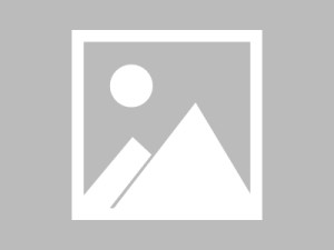 风云岛行动，阿丽近战连招全解析，打造女王级战斗风采